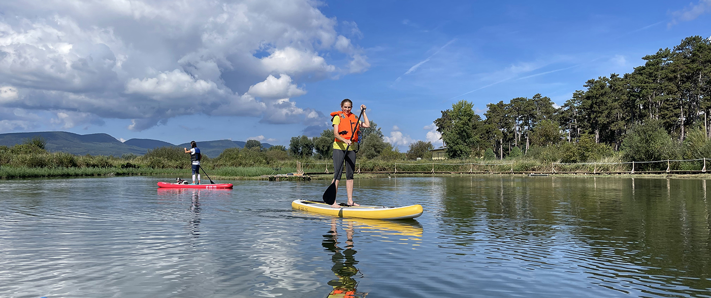 Golden palace sup göd