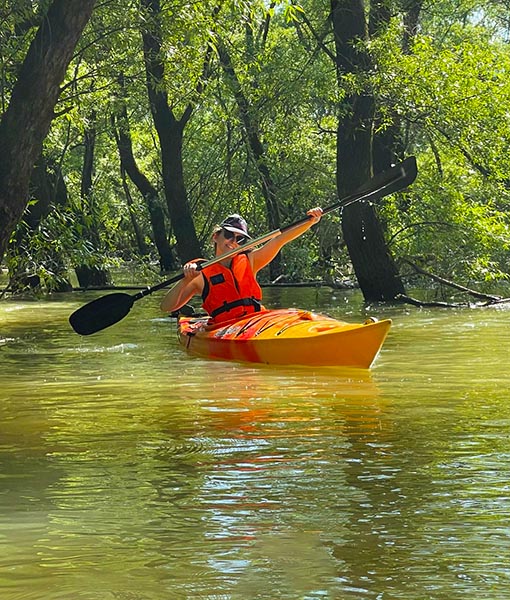 Ártéri barangolások